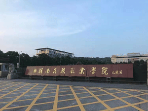 ���������I���g�WԺ